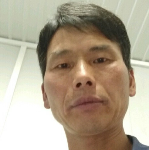 蜜粉挽手有魅力的照片