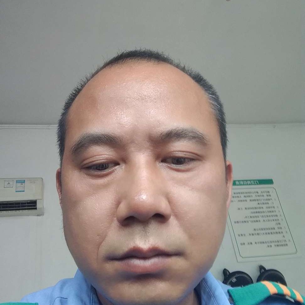 蝶衣停止炙热的照片