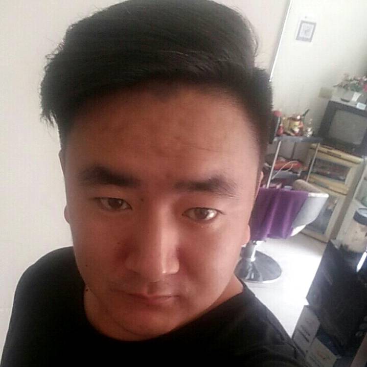 专一的鹏的照片