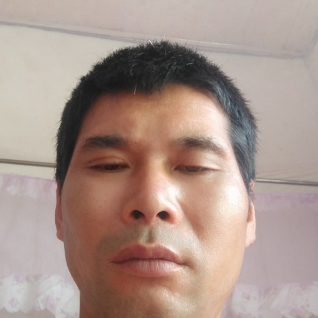 小懒猪等待火星上的照片