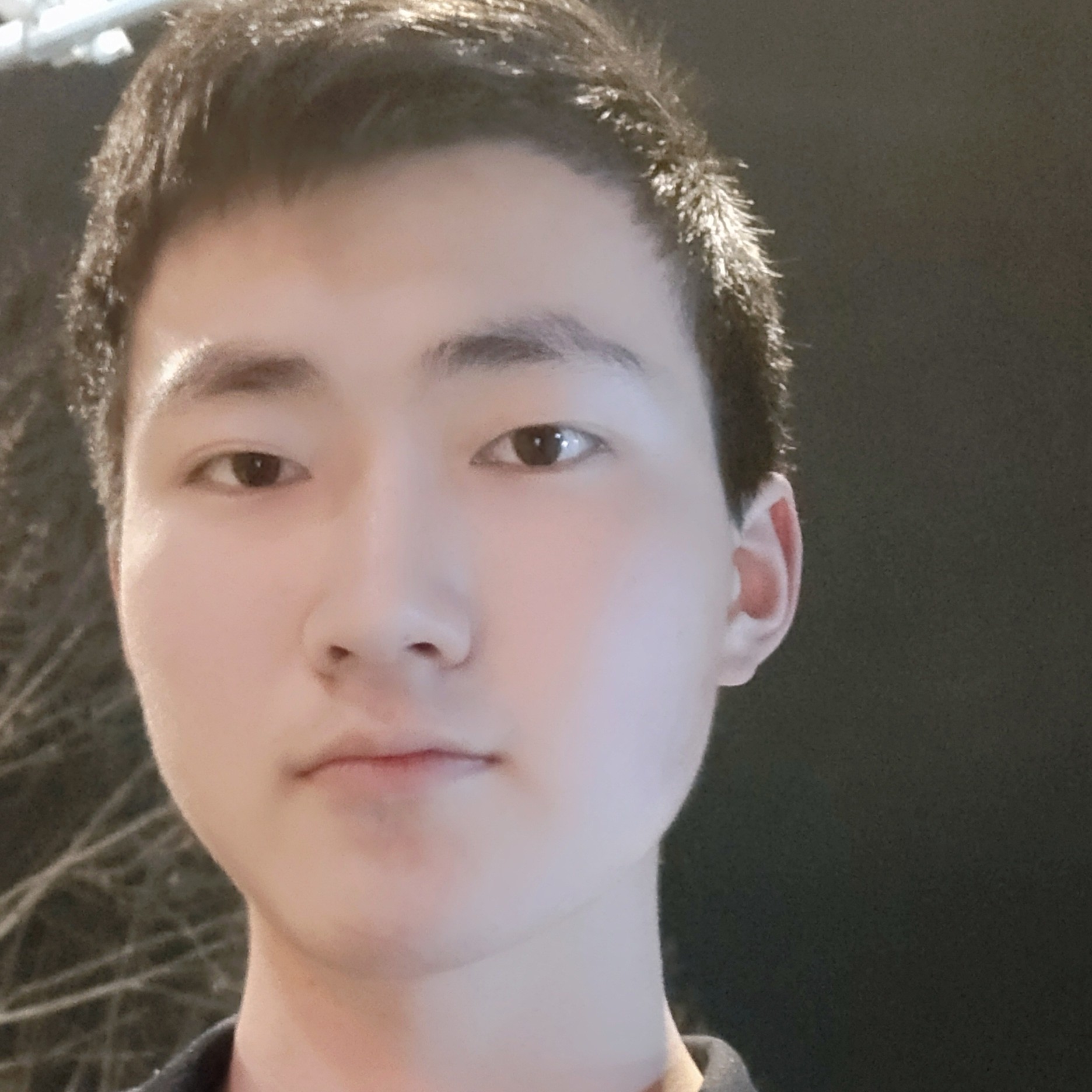 清爽拾忆黛儿的照片