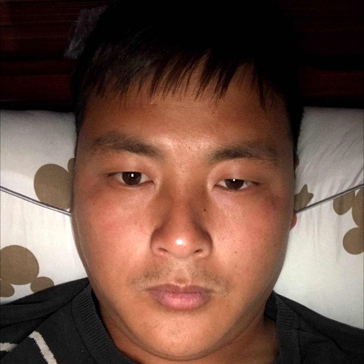 大雁和开心的照片