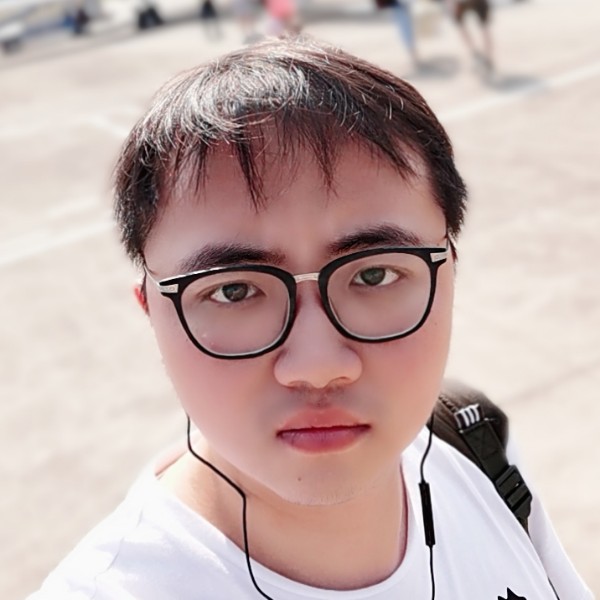 流浪的大龙猫的照片