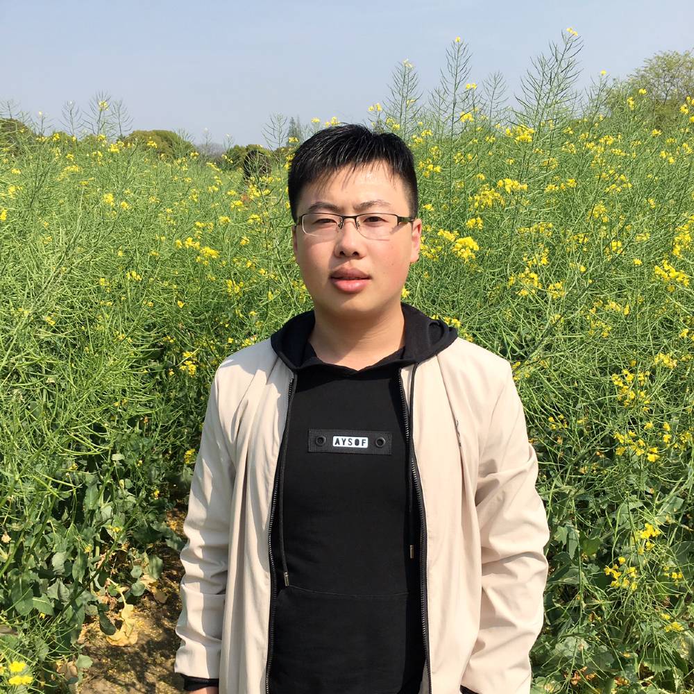 迷失的孤独者的照片