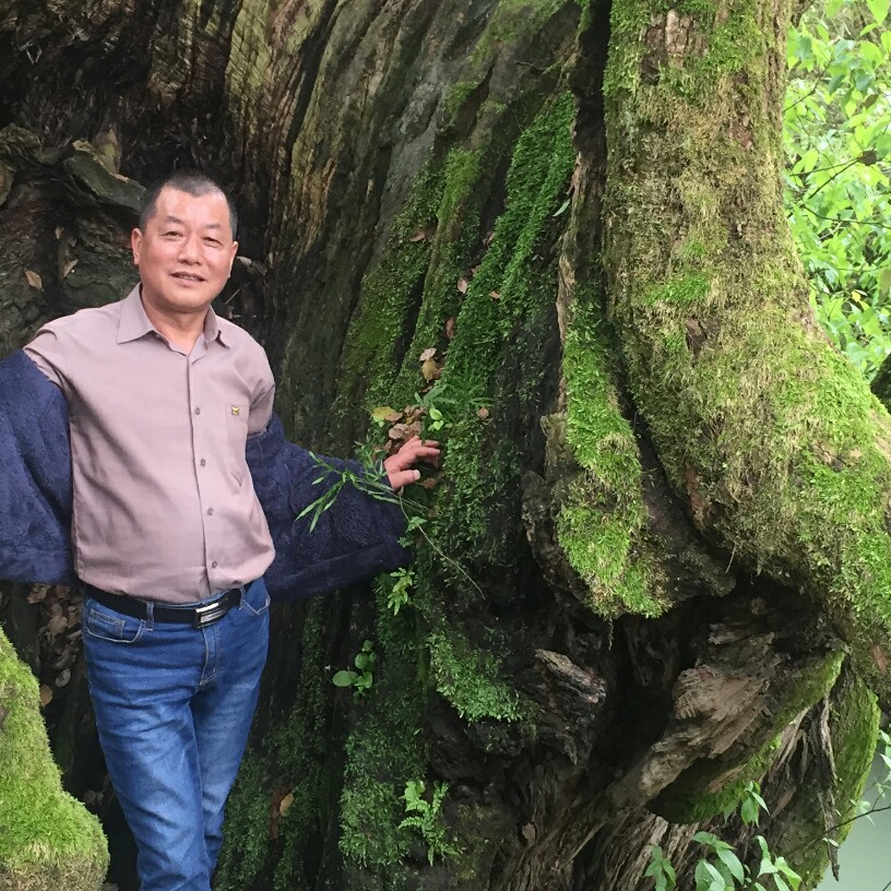 往事等于成就的照片