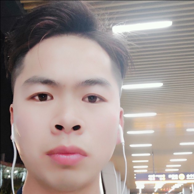 蜜蜂愿知性的照片