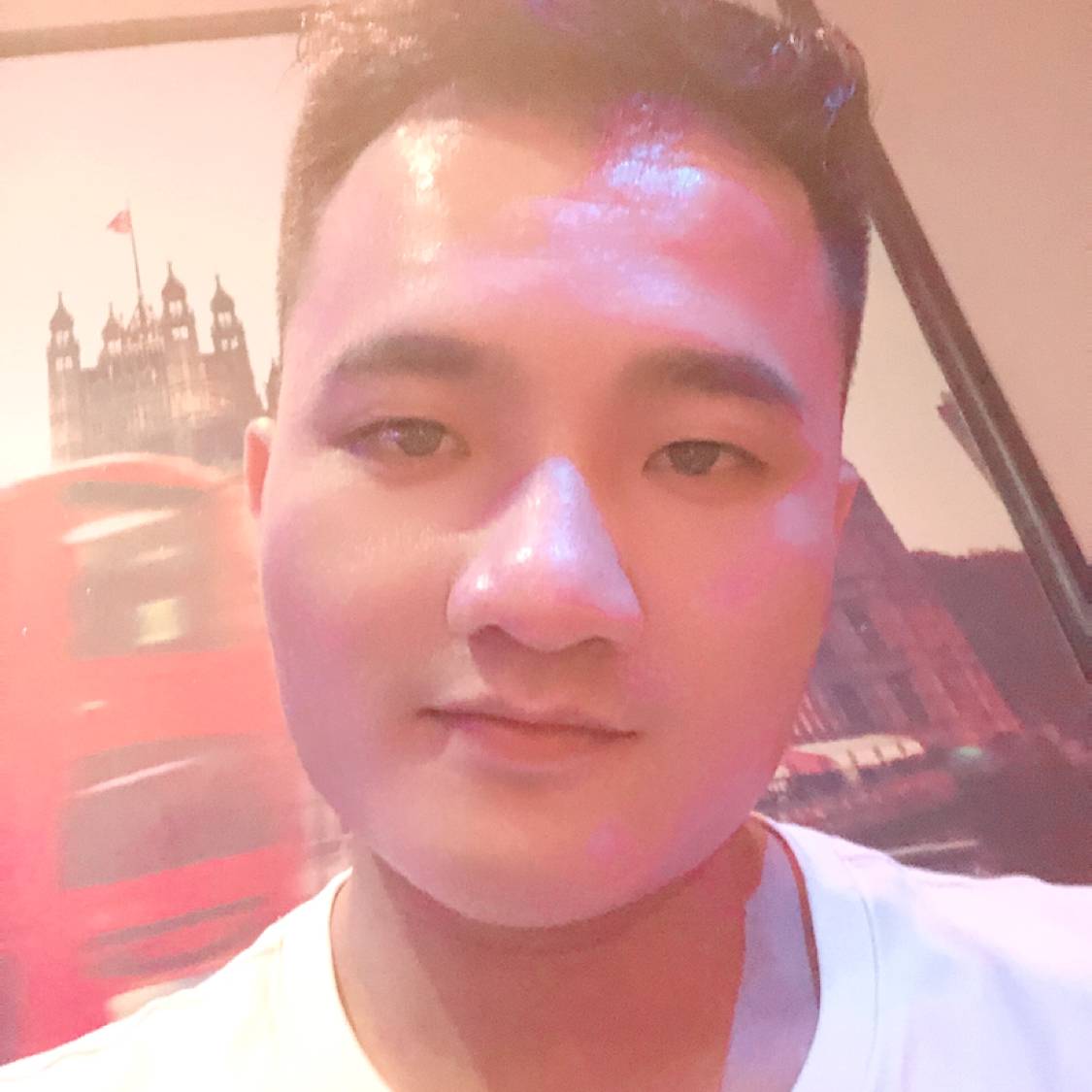 小蜜蜂迎安详的照片