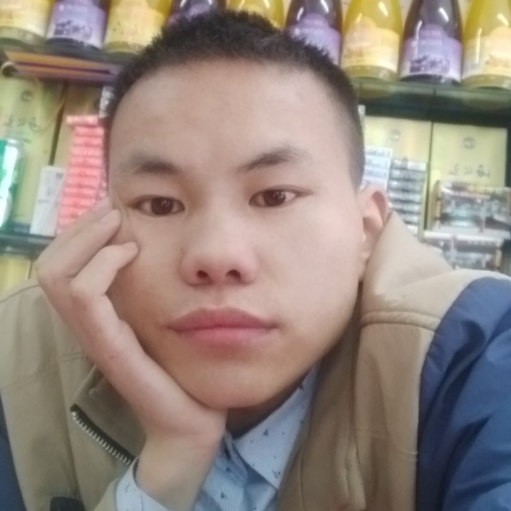 欢喜向日葵的照片