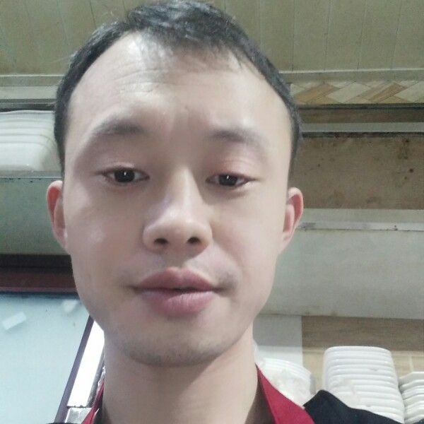 刺猬欣喜的照片