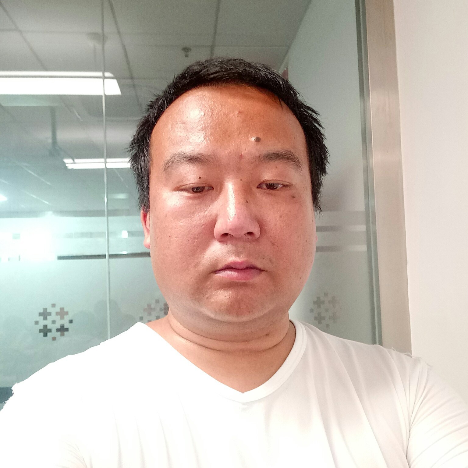 漂流的树叶的照片