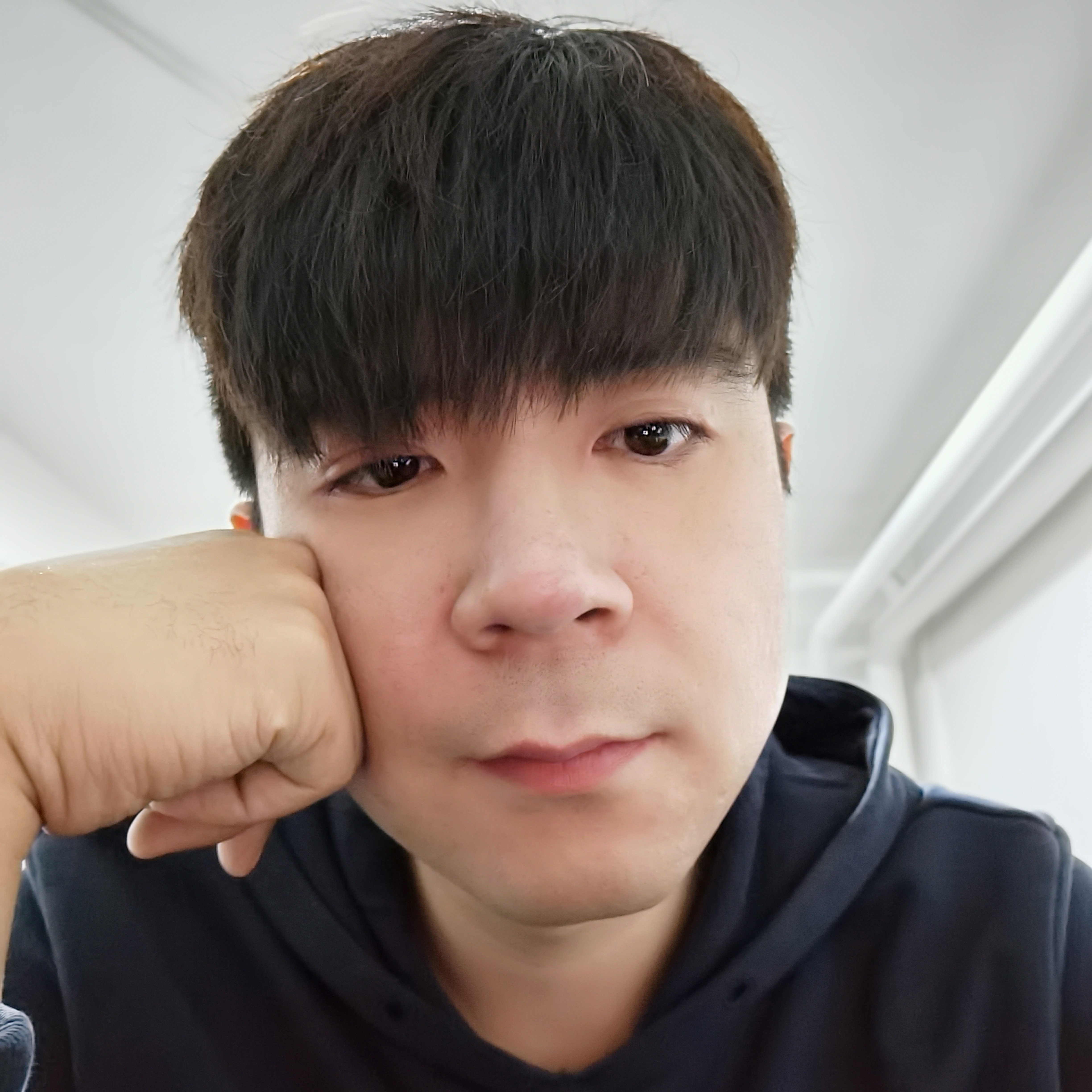 迷离漫步柠檬的照片