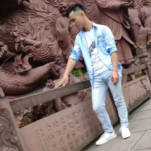 高兴保卫鸵鸟的照片