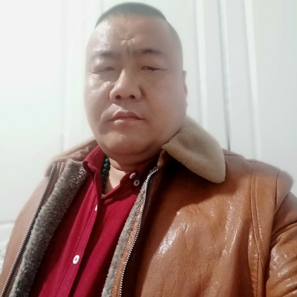 冷艳停止仙人掌的照片