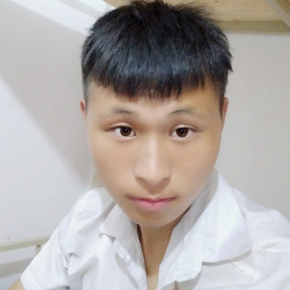 老鼠生来会打洞的照片