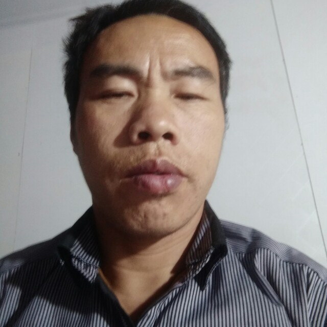 鸵鸟幽默的照片
