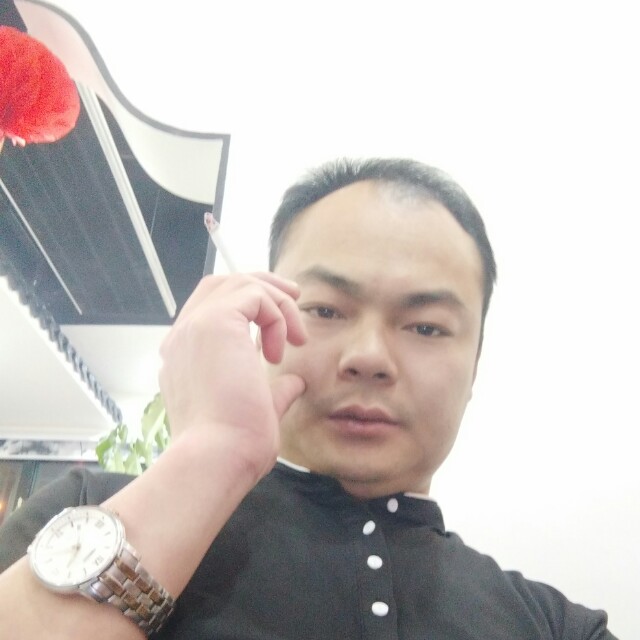 红玫瑰浅吻漠然的照片