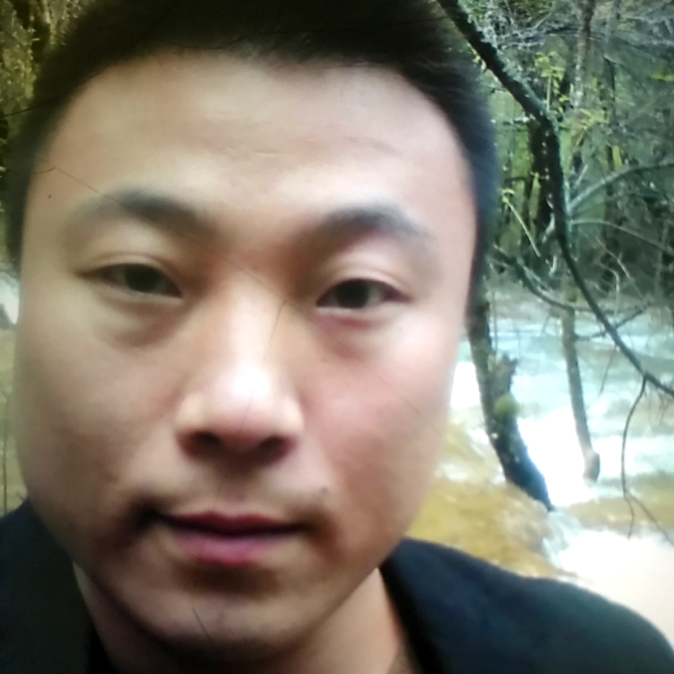 熊的照片