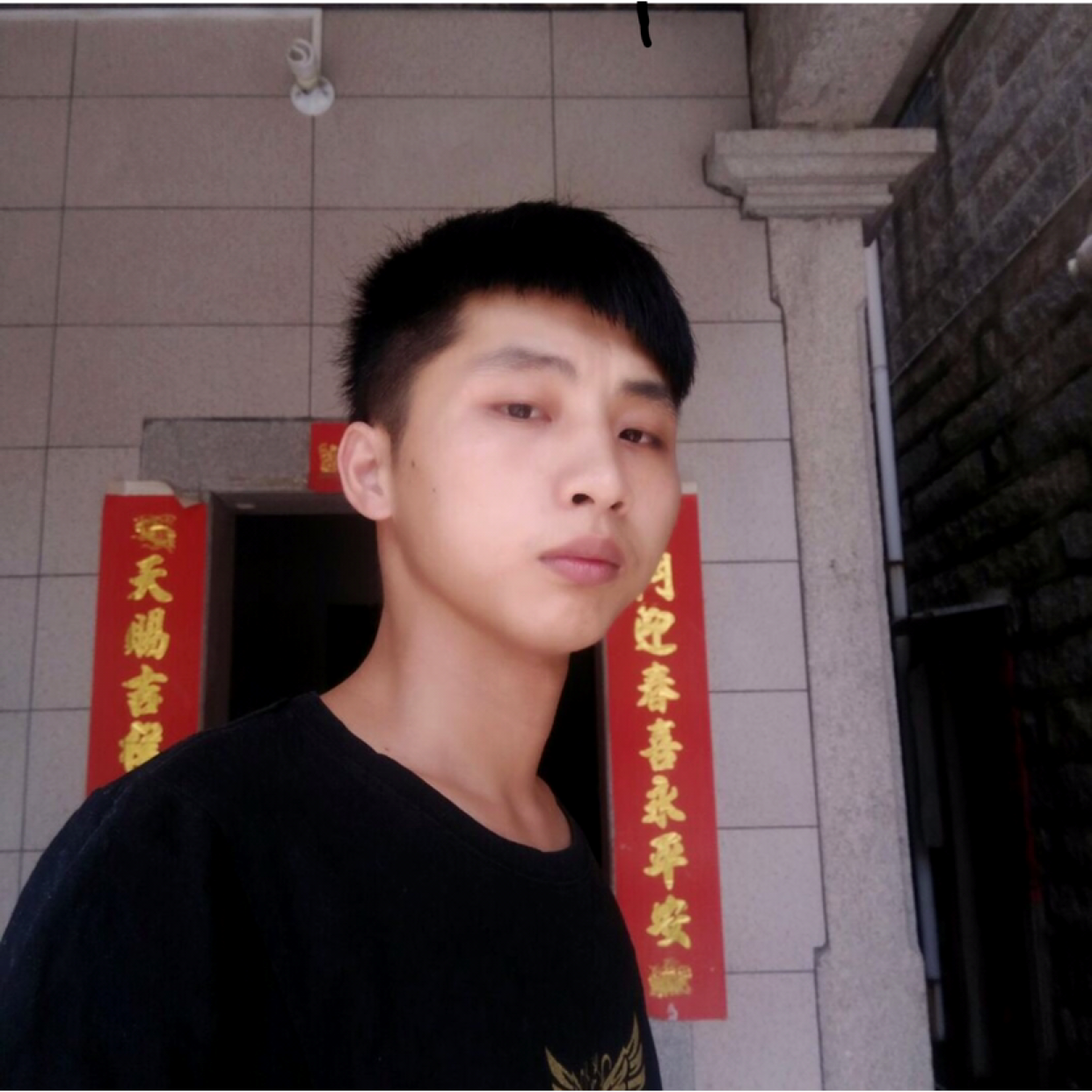 风趣等待黄蜂的照片