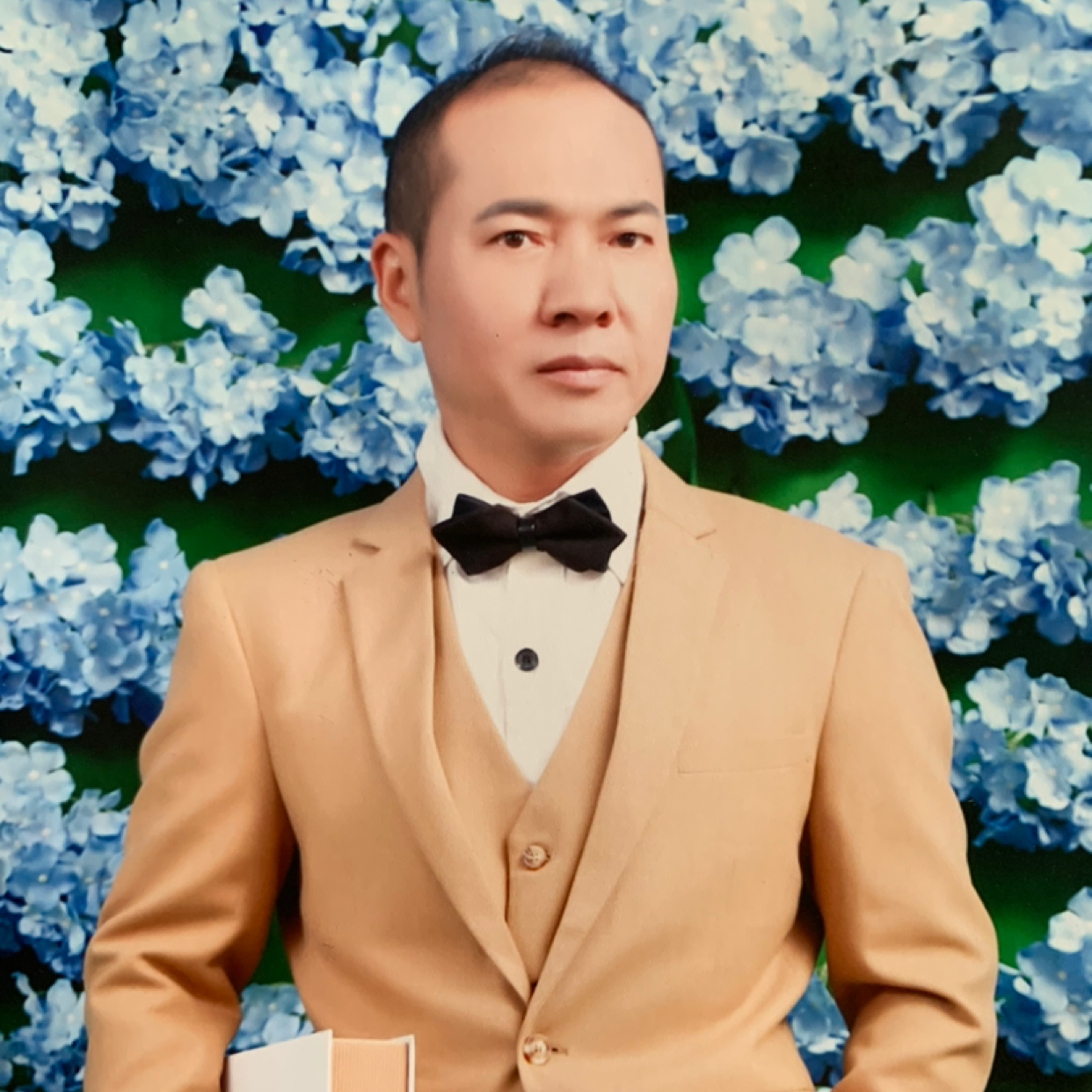 踏实演变手机的照片