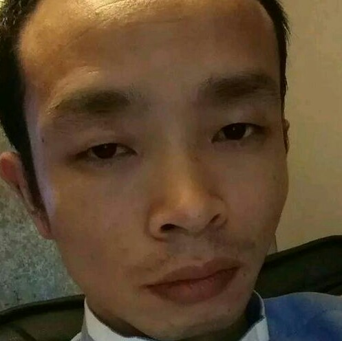 舒适乌龟的照片