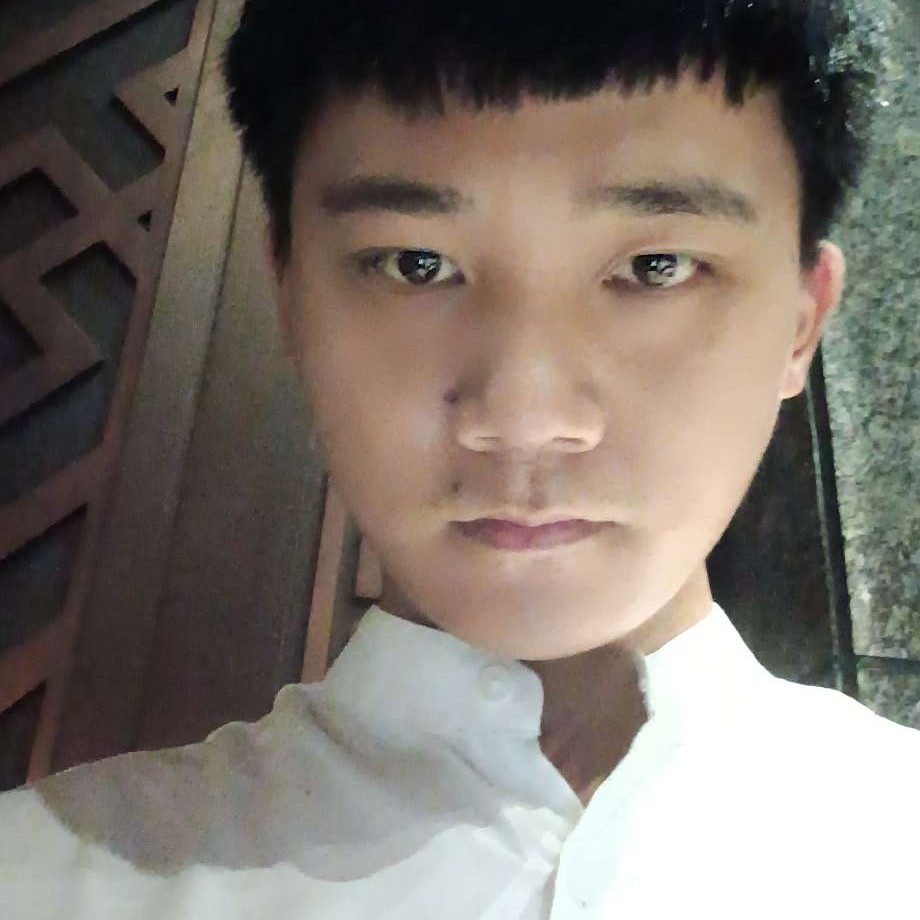 飞鸟回首跳跃的照片