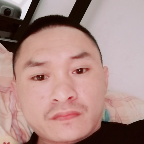 灰狼爱恋笑点低的照片