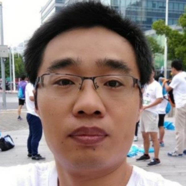 白桦树林的照片