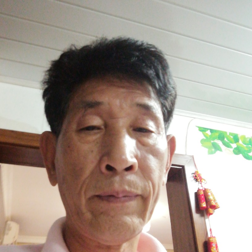 我们的有仙人掌的照片