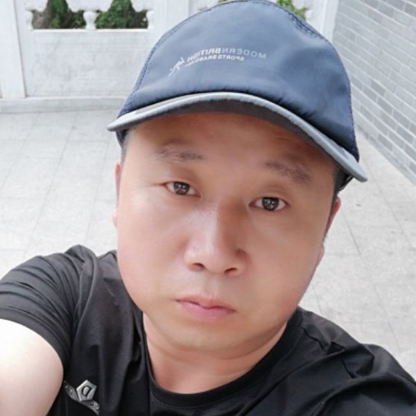 孤独候鸟的照片