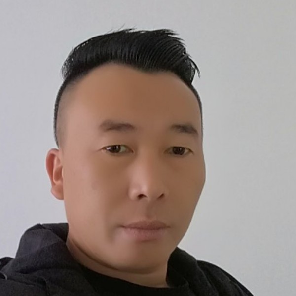 错落刺猬的照片