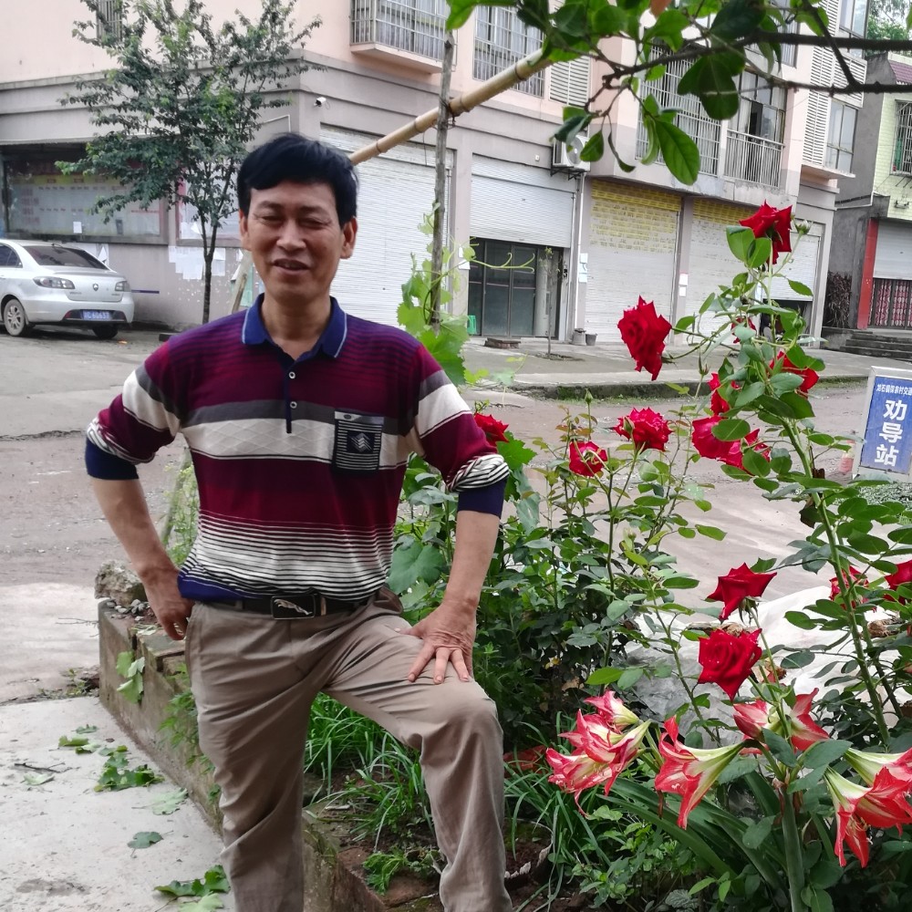 玉米妩媚的照片
