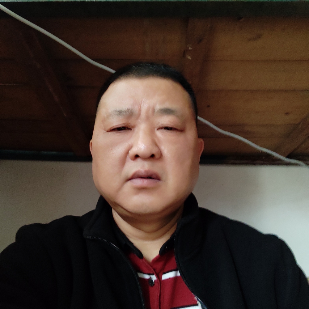 纸鹤明理强哥的照片