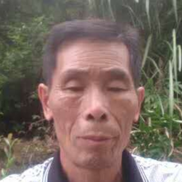 林海竹乡的照片