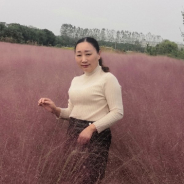 淡淡爱秋天的照片