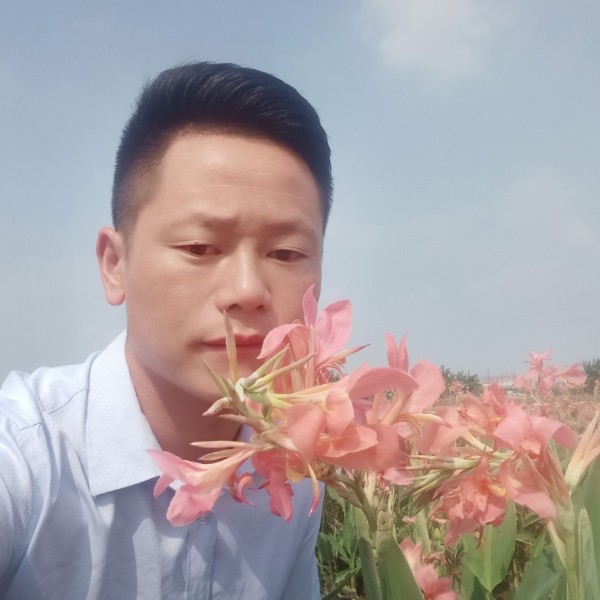 金针菇保卫忧郁的照片