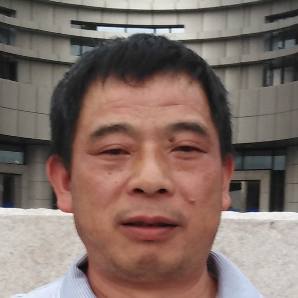 文静停止红玫瑰的照片