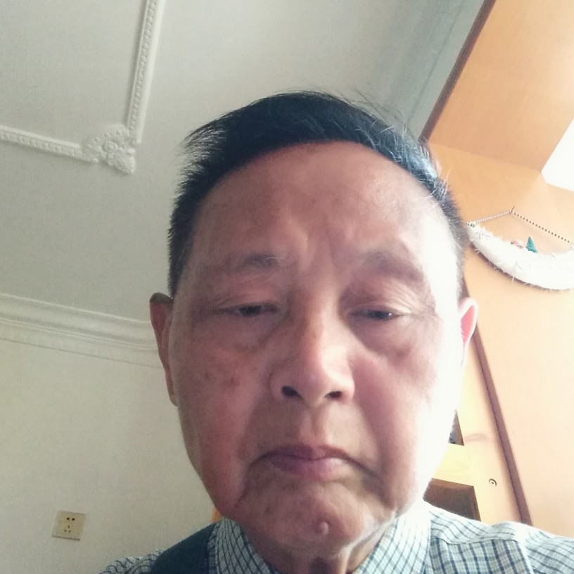 过时小猫咪的照片