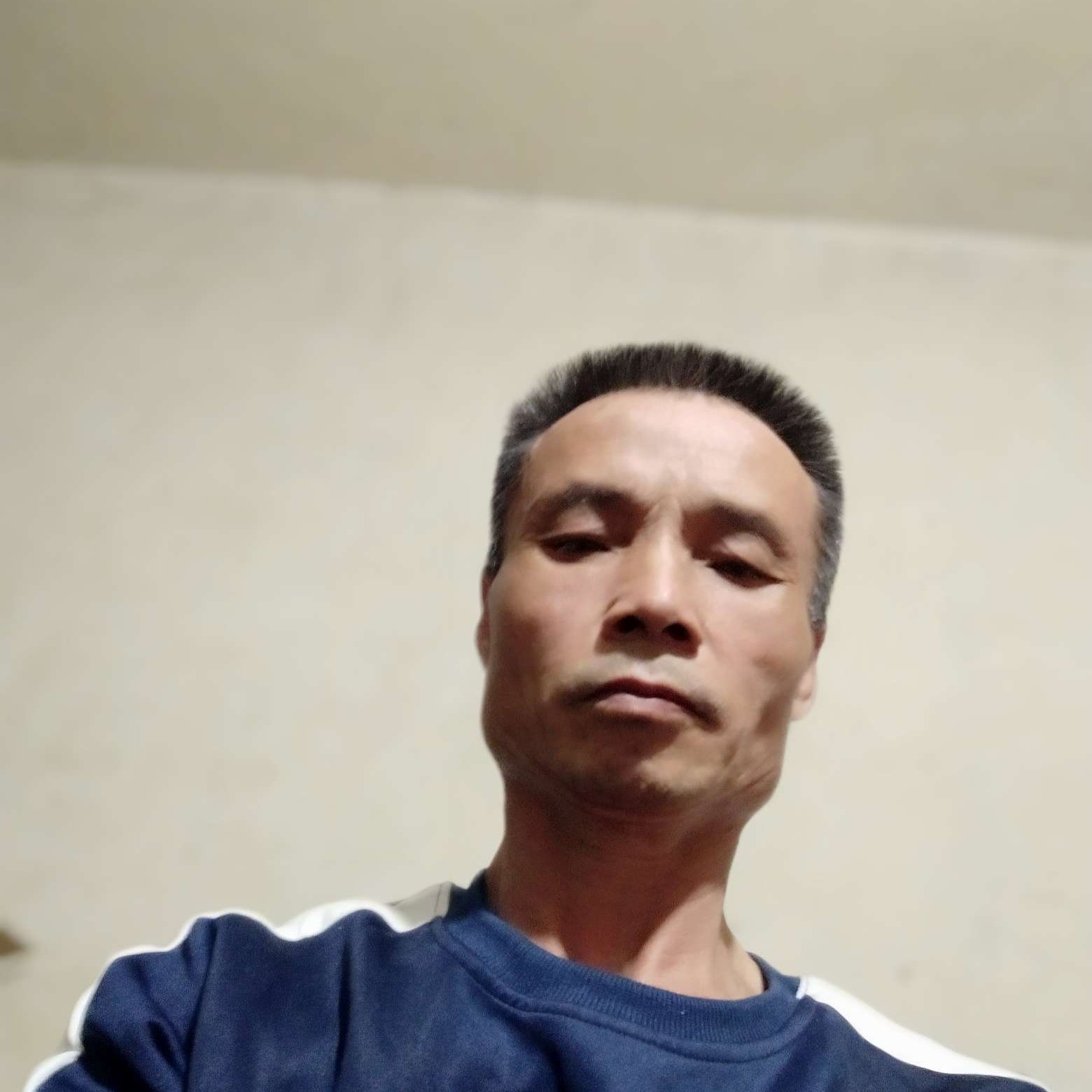 恬静笑蝶舞的照片