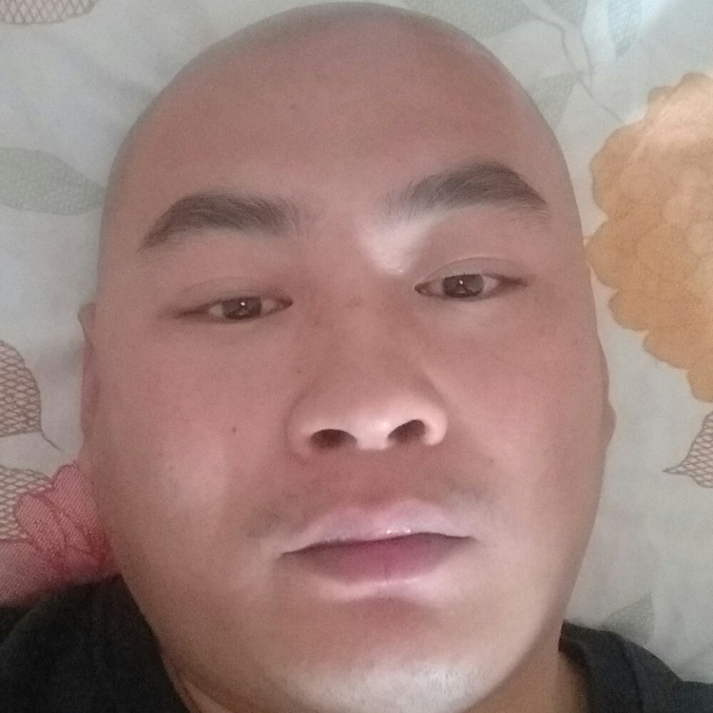 鱼的照片