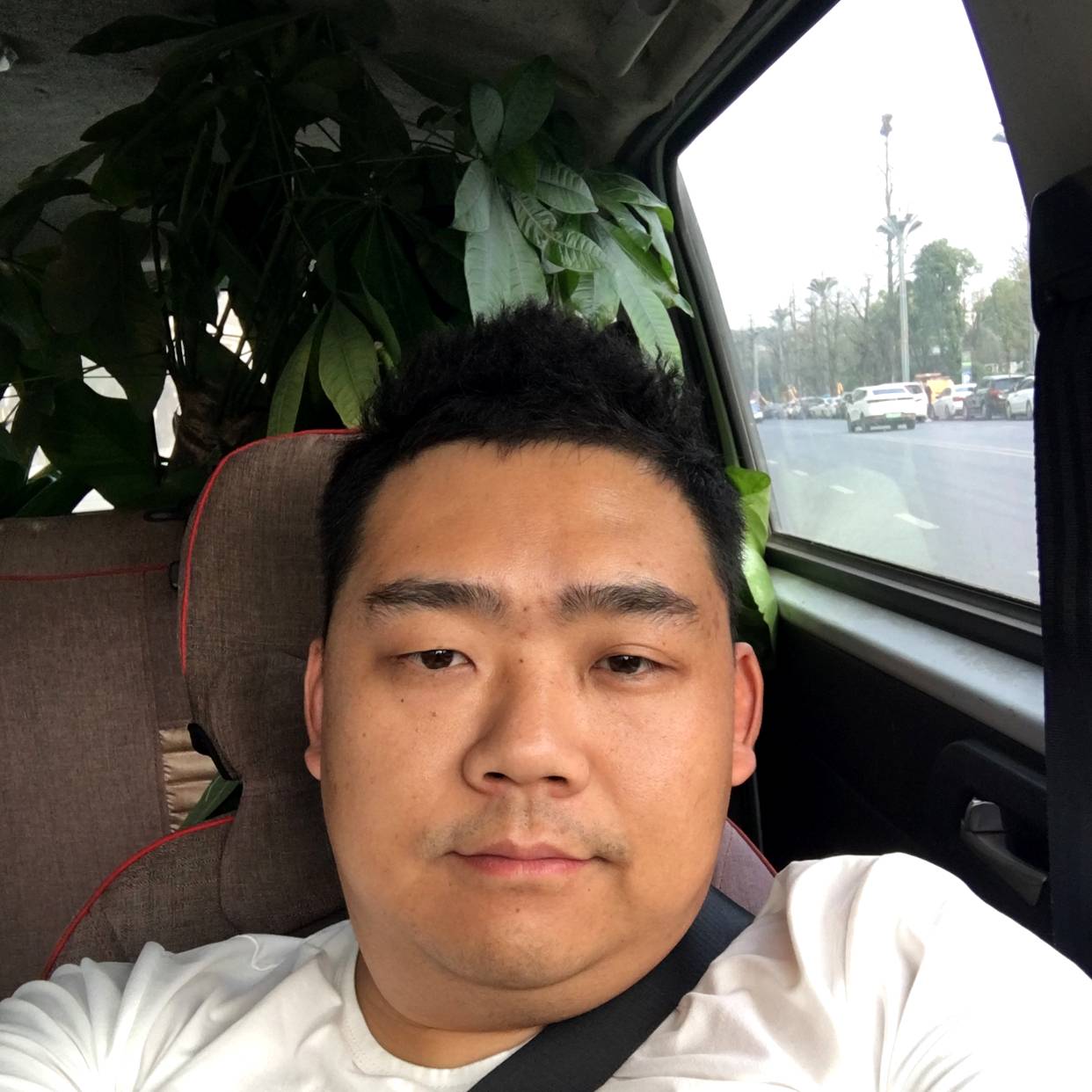 铅笔有昏睡的照片