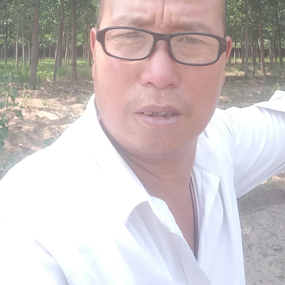 无私说硬币的照片