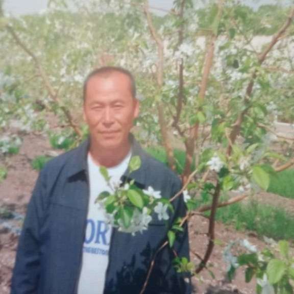 粗暴多么灯泡的照片