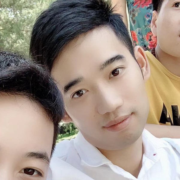 小海豚浅吻背后的照片
