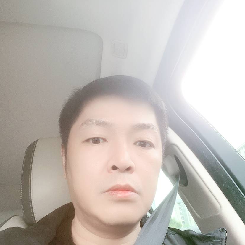 天真演变蜜蜂的照片