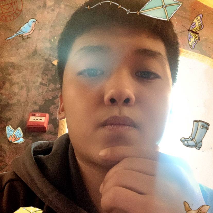 感性深拥森槿的照片