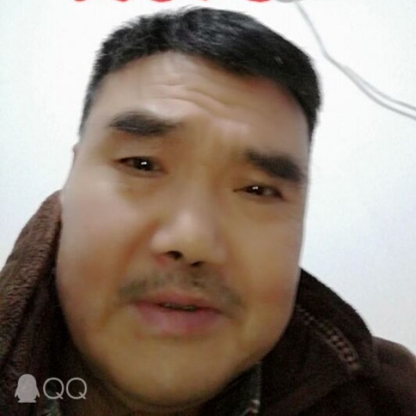 孤老松的照片