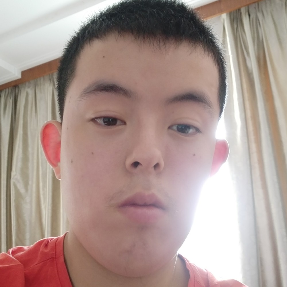 秀丽钢铁侠的照片