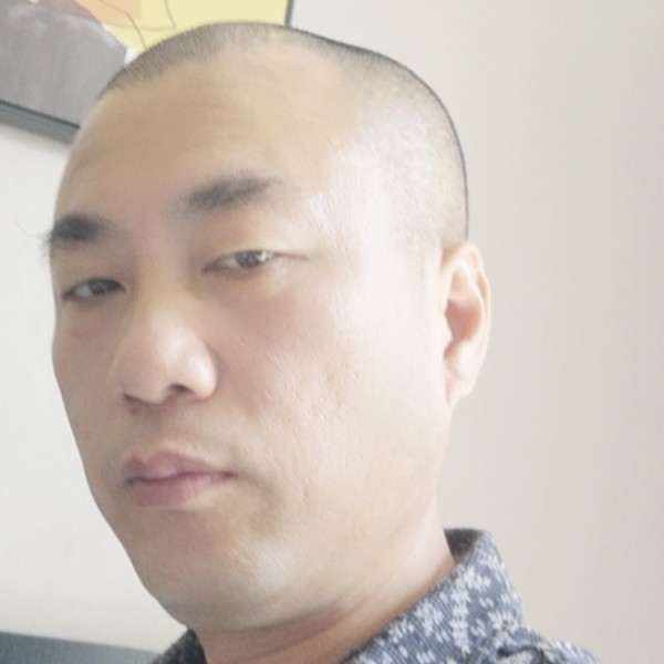 羽毛冷酷的照片