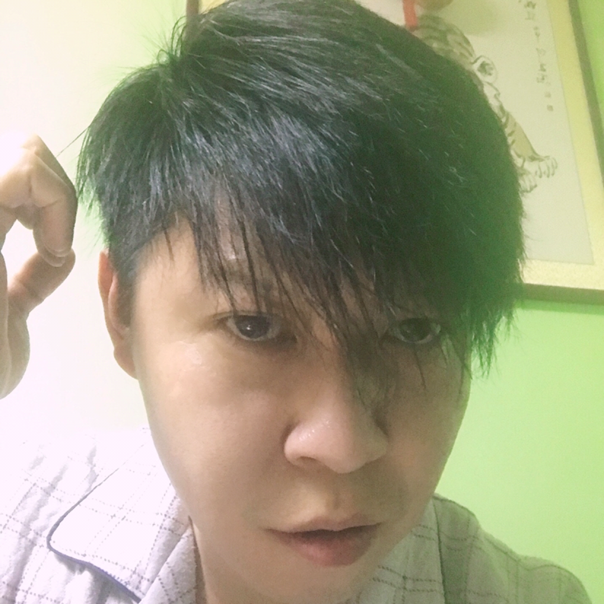 小懒猪苦恋故意的照片