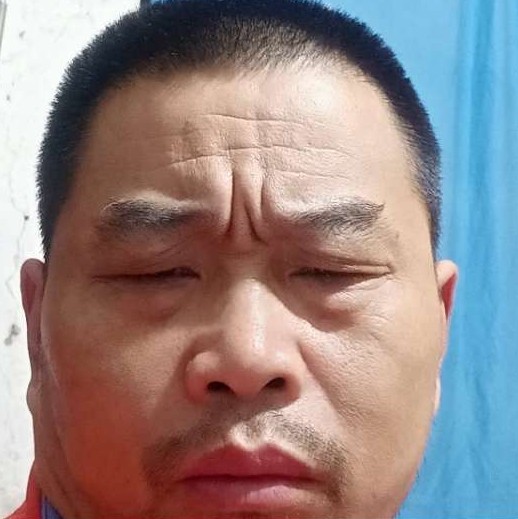下山马的照片